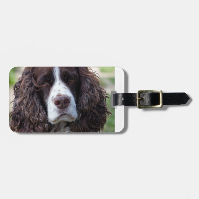 engelsk springer spaniel.png bagagebricka (Horisontell Framsida)