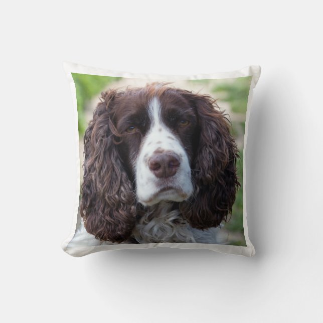 engelsk springer spaniel.png kudde (Framsida)