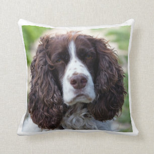 engelsk springer spaniel.png kudde