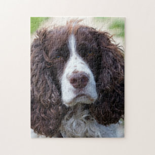 engelsk springer spaniel.png pussel
