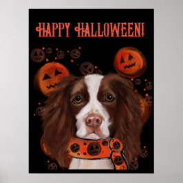 Engelsk Springer Spaniel       Poster
