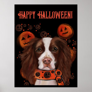 Engelsk Springer Spaniel Poster