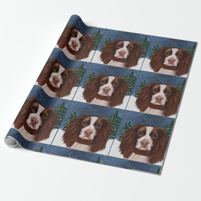 ENGelsk Springer Spaniel       Presentpapper (Utrullad)