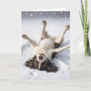 Engelsk Springer Spaniel Snöängel Helgkort