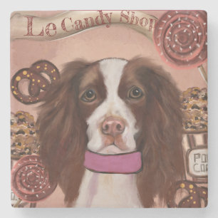 Engelsk Springer Spaniel Stenunderlägg