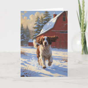 Engelsk Springer Spaniel Vinter Ladugård Landskap Kort