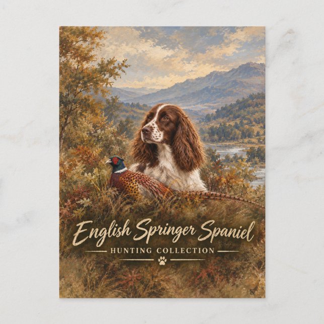 Engelsk Springer Spaniel  Vykort (Framsida)