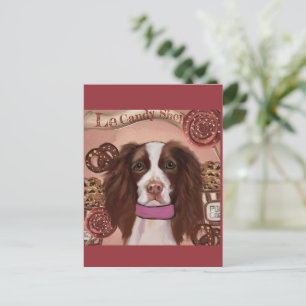Engelsk Springer Spaniel Vykort