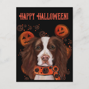 Engelsk Springer Spaniel Vykort