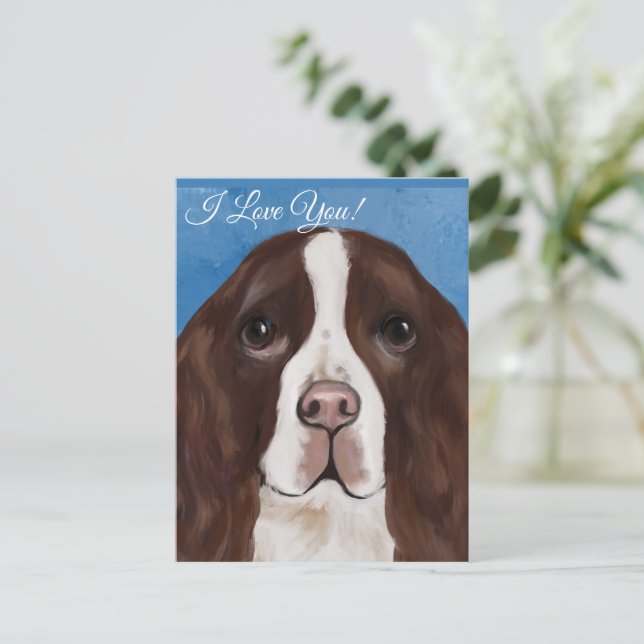 ENGelsk Springer Spaniel    Vykort (Stående Fram)