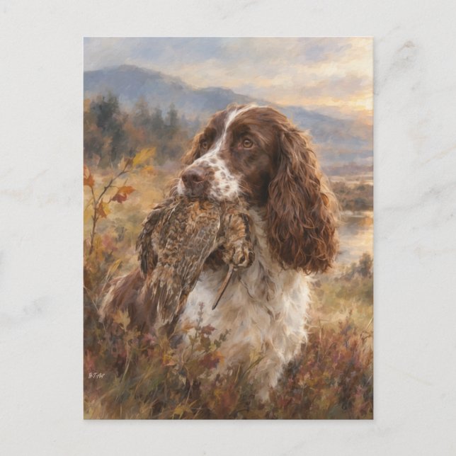 Engelsk Springer Spaniel  Vykort (Framsida)