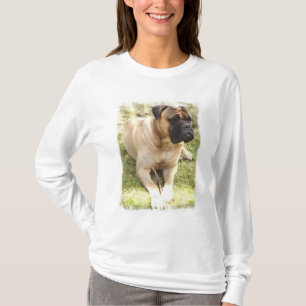 Engelsk T-tröja för Mastiffdamlångärmad Tee Shirt
