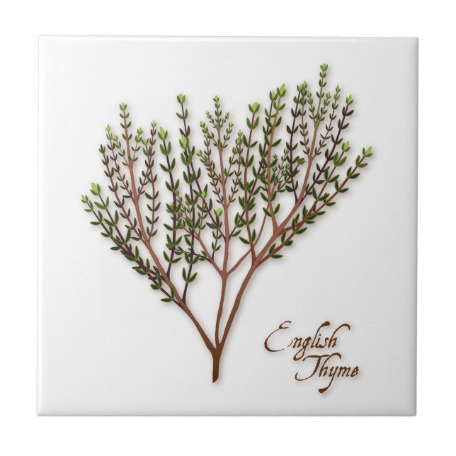 Engelsk Thyme Herb Ceramic Tile Kakelplatta (Framsidan)