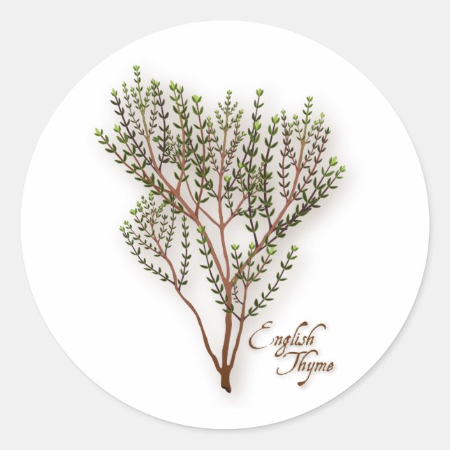 Engelsk Thyme Round Sticker Runt Klistermärke (Framsida)