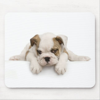 Engelsk tjurhund Mousepad Musmatta