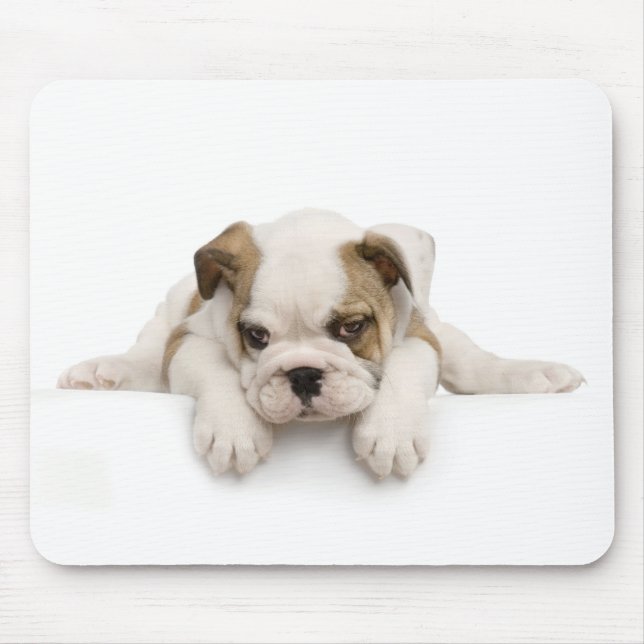 Engelsk tjurhund Mousepad Musmatta (Framsidan)