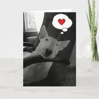 engelsk tjurterriervalentin helgkort