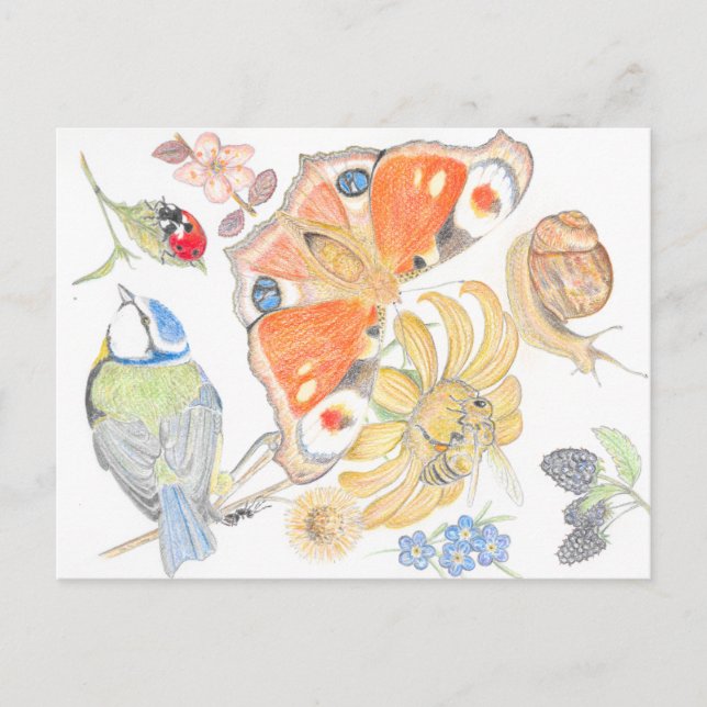 Engelsk trädgård vykort (Framsida)