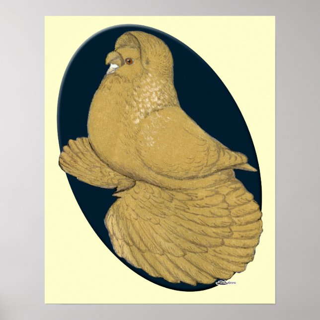 Engelsk trumpeter Pigeon: Gult Oval Poster (Framsidan)