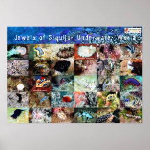 Engelsk version: Juels of Under Vatten Siquijor Poster