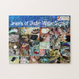 Engelsk version: Juels of Under Vatten Siquijor Pussel