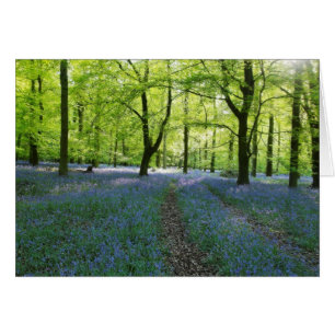Engelska Bluebells Hälsningskort