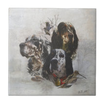 Engelska brev, jakt på träkuster