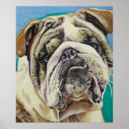 Engelska Bull Dog Poster