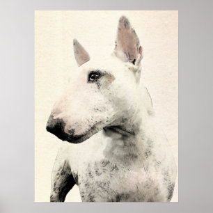 Engelska Bull Terrier Hund Poster