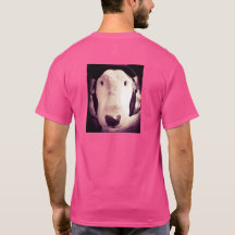 Engelska Bull Terrier med hörlurar