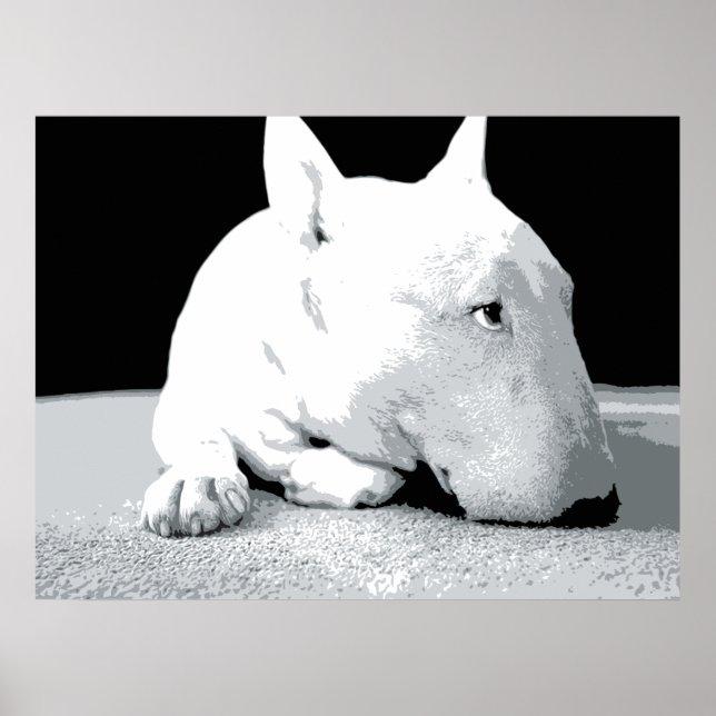 Engelska Bull Terrier, pop Art Print Poster (Framsidan)
