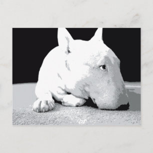 Engelska Bull Terrier, pop Art Print Vykort