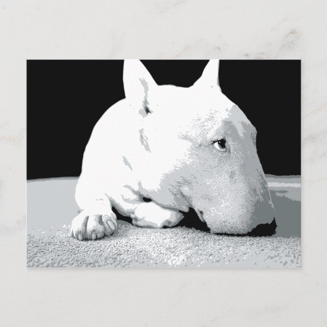Engelska Bull Terrier, pop Art Print Vykort (Framsida)