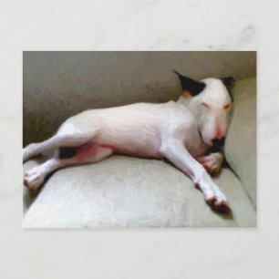 Engelska Bull Terrier Vykort