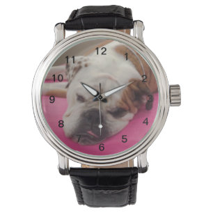 Engelska bulldog armbandsur