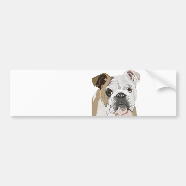Engelska bulldog bildekal (Framsidan)