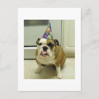 Engelska bulldog Birthday Vykort