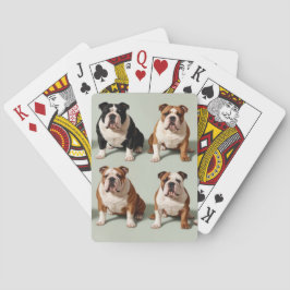Engelska bulldog casinokort