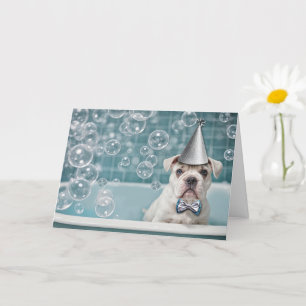 Engelska Bulldog Cute and Funny i Bath Kort