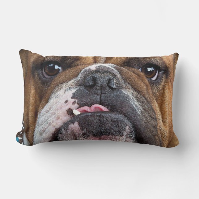 Engelska bulldog Dekorativ kudde (Framsida)