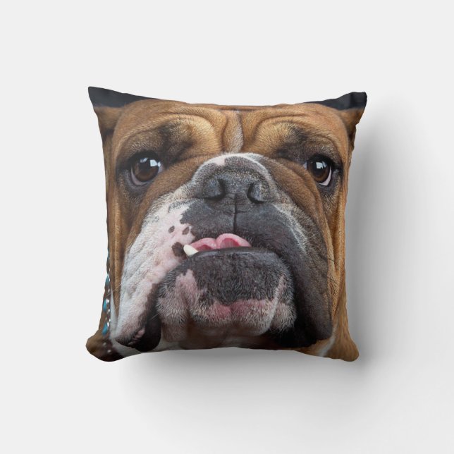 Engelska bulldog Dekorativ kudde (Framsida)