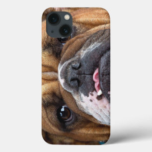 Engelska bulldog Dekorativ kudde