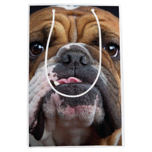 Engelska bulldog Dekorativ kudde