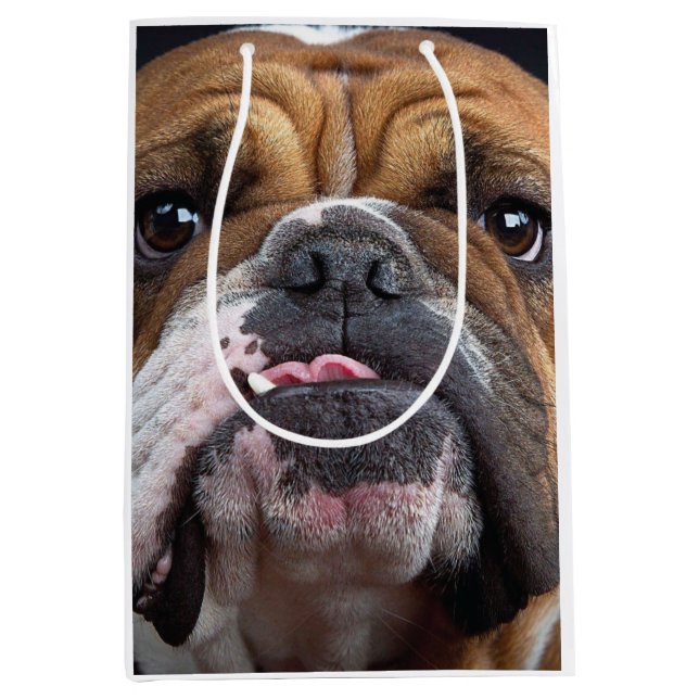 Engelska bulldog Dekorativ kudde (Framsidan)