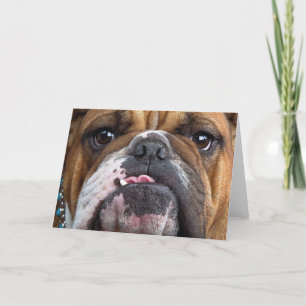 Engelska bulldog Dekorativ kudde Helgkort