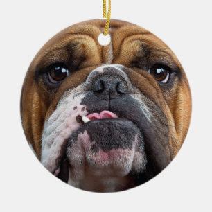 Engelska bulldog Dekorativ kudde Julgransprydnad Keramik