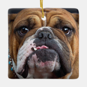 Engelska bulldog Dekorativ kudde Julgransprydnad Keramik
