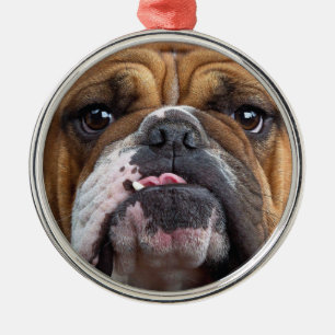 Engelska bulldog Dekorativ kudde Julgransprydnad Metall