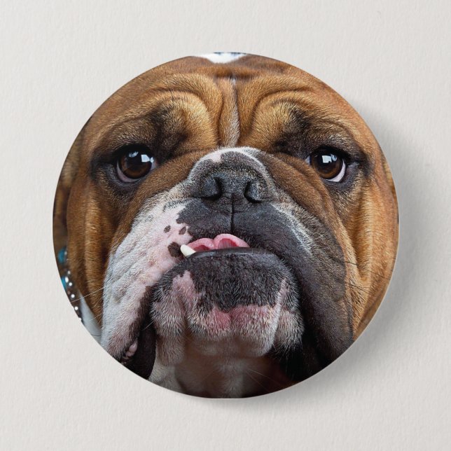 Engelska bulldog Dekorativ kudde Knapp (Framsida)