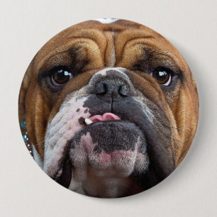 Engelska bulldog Dekorativ kudde Knapp